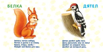 Книжки-картонки. Лесные животные - фото 2