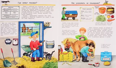 Что? Почему? Зачем? Все о лошадях и пони (с волшебными окошками) - фото 4