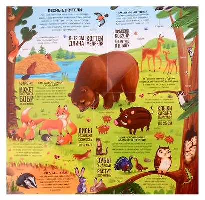 Животные : книжка-трансформер - фото 4