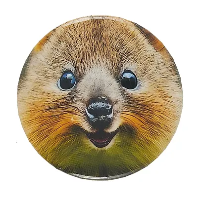 Значок Квокка (фотопринт) (металл) (56мм) (ЗН2025-082) Bookvalno - фото 4