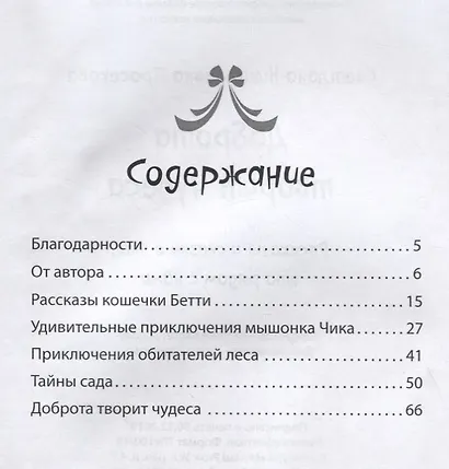 Добро творит чудеса. Рассказы и сказки о тех, кто рядом с нами - фото 2