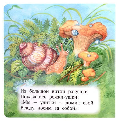 Кто где живёт? - фото 3