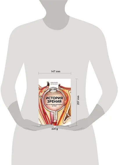 История зрения: путь от светочувствительности до глаза - фото 4