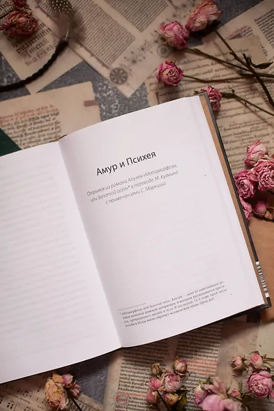 Амур и Психея. Трансформация женственности в толковании мифа - фото 10