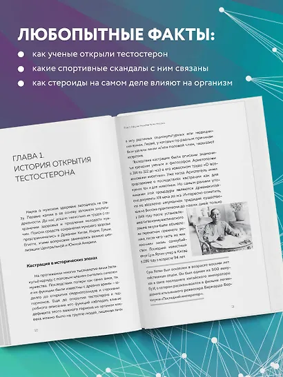 Его величество тестостерон. Путеводитель по жизни полной сил - фото 6