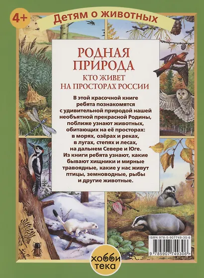 Родная природа. Кто живёт на просторах России - фото 2