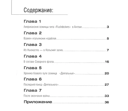 Эскадренный миноносец "Деятельный" - фото 2