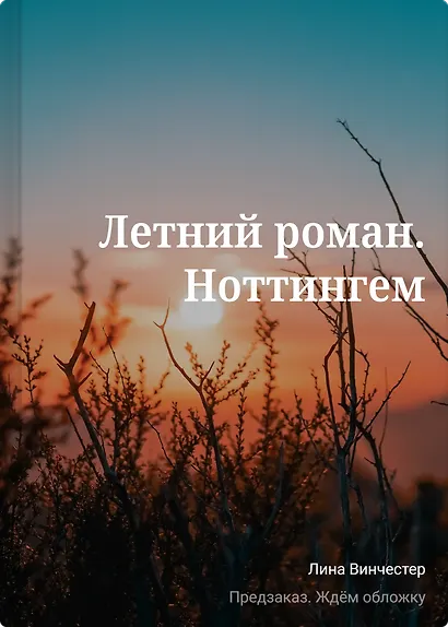 Летний роман. Ноттингем - фото 1