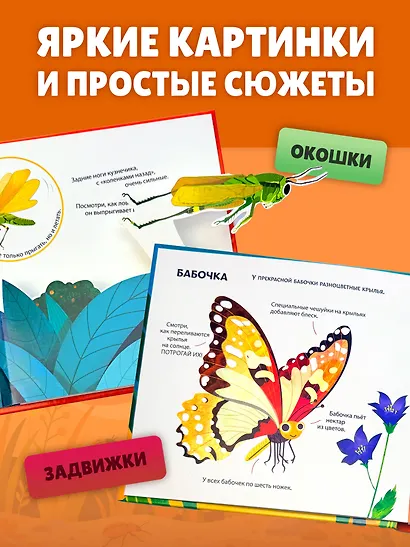 Насекомые. Тактильная книга-панорамка - фото 6