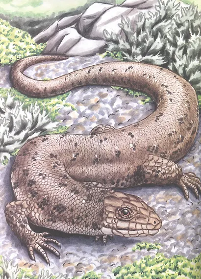 Яркий мир природы - фото 3