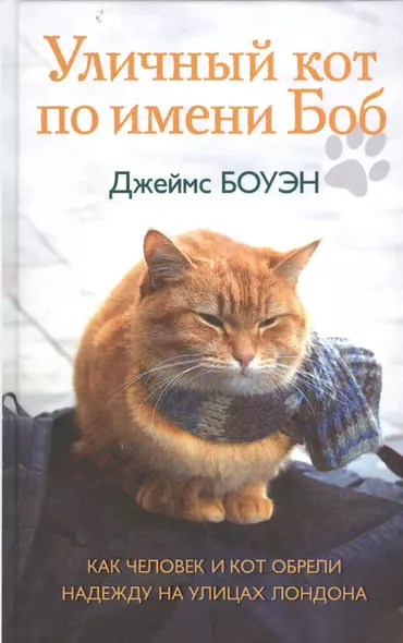 Уличный кот по имени Боб. Как человек и кот обрели надежду на улицах Лондона - фото 1