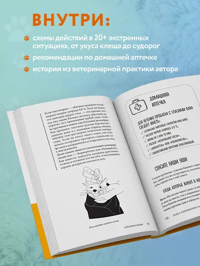 Кошки. Сам себе ветеринар: как оказать первую помощь кошке и не пропустить симптомы болезни - фото 5