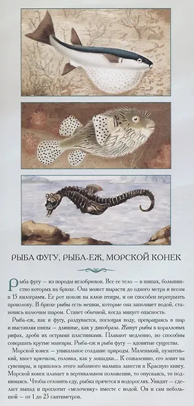 Животные нашей планеты «Обитатели водоемов. Рассказы тех, кто молчит» - фото 5