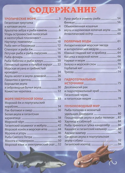 Подводный мир.Современная детская энциклопедия - фото 2