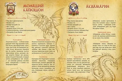 Секретная школа драконов. Книга 1 - фото 6