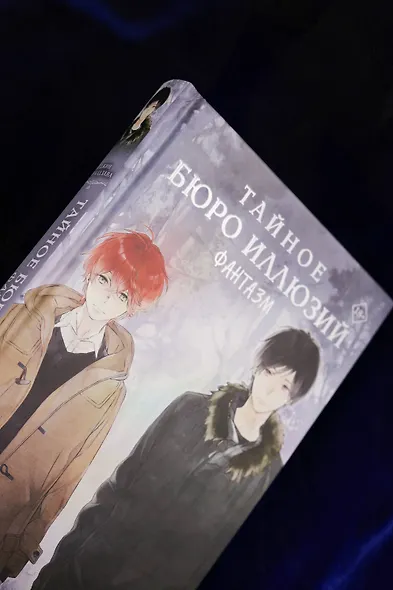 Тайное бюро иллюзий. Фантазм. Книга 1 - фото 8