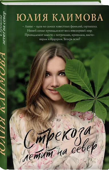 Стрекоза летит на север - фото 3