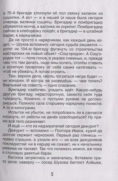 Матренин двор. Один день Ивана Денисовича: рассказы - фото 5