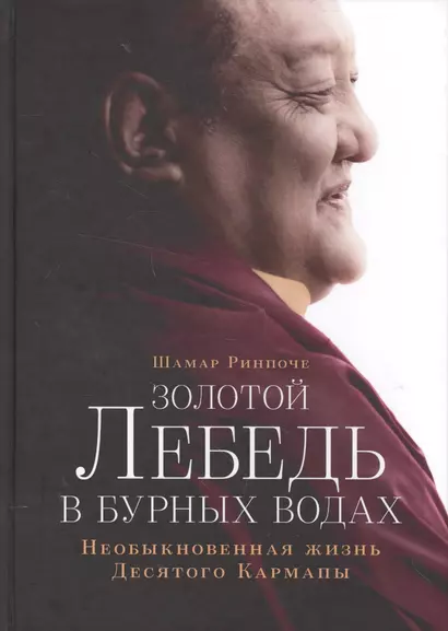 Золотой лебедь в бурных водах. Необыкновенная жизнь десятого Кармапы - фото 1