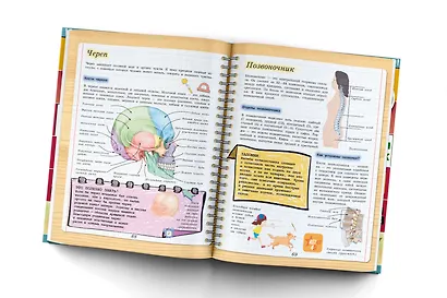 4D-энциклопедия занимательных наук - фото 4