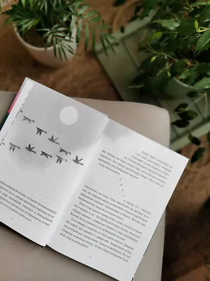 Миссия дикого робота - фото 7