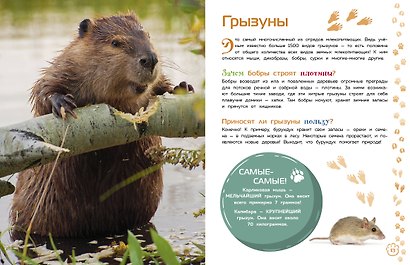Млекопитающие - фото 8