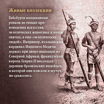 Бурный XVI век: Габсбурги, ведьмы, еретики, кровавые мятежи - фото 9