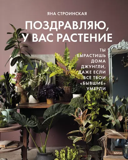 Поздравляю, у вас растение. Ты вырастишь дома джунгли, даже если все твои «бывшие» умерли - фото 1