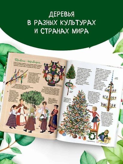 Энциклопедия деревьев мира - фото 5