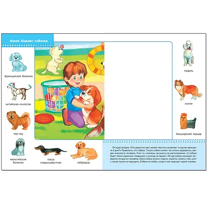 Домашние питомцы. Для занятий с детьми от 2 до 3 лет - фото 3