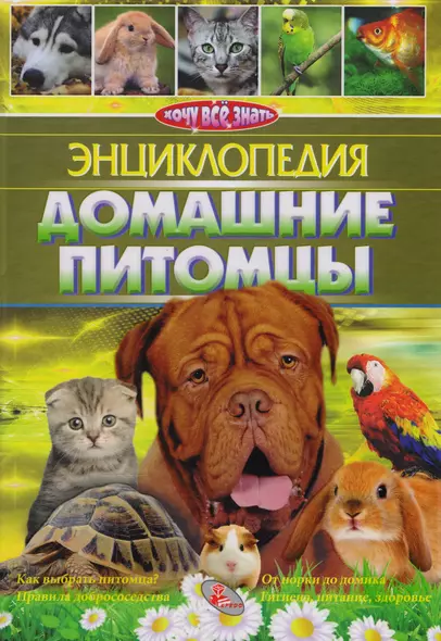 Домашние питомцы - фото 1