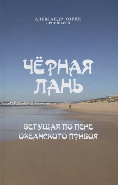 Черная лань, бегущая по пене океанского прибоя - фото 1