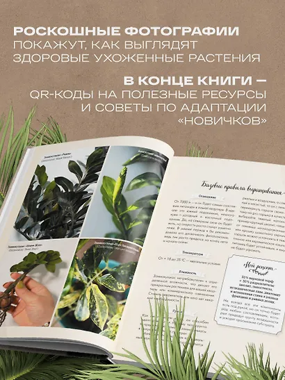 Секреты комнатных джунглей. О чем молчат растения и как понять, что им нужно на самом деле - фото 8