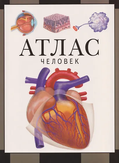 Человек. Атлас - фото 1