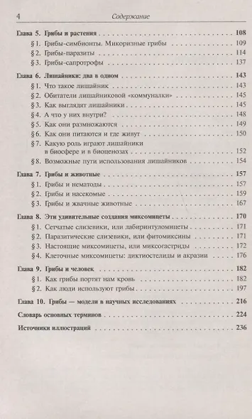 Занимательная микология - фото 3