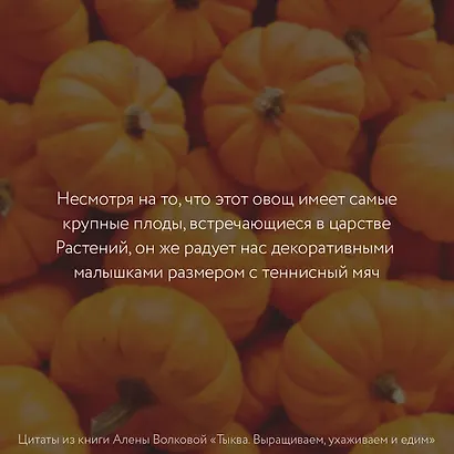 Тыква. Выращиваем, ухаживаем и едим - фото 6