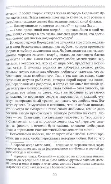 Пьер, или Двусмысленности - фото 7