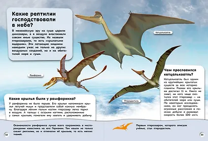 Большая книга динозавров. Вопросы и ответы - фото 8