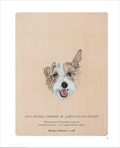 Портретная вышивка. Самоучитель по "рисованию" собак вышивальной иглой (чихуахуа) - фото 6