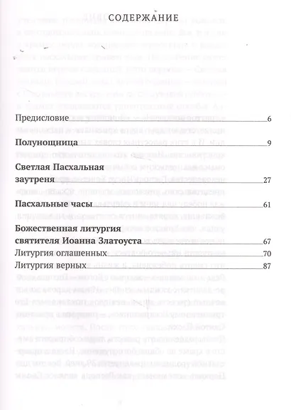 Пасхальное богослужение с объяснением священника Александра Гумерова - фото 2