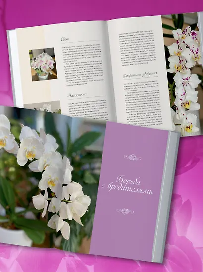 Великолепные орхидеи. Практичное руководство по уходу для начинающих - фото 8