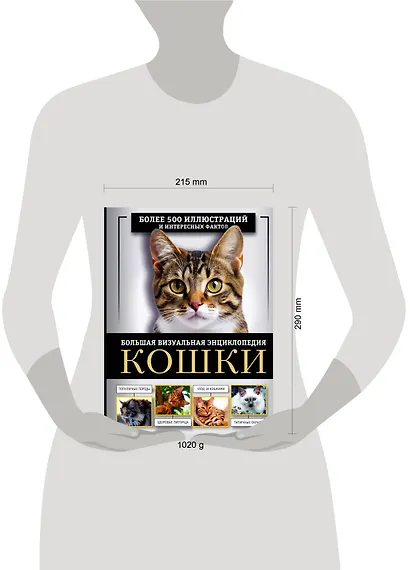 Кошки. Большая визуальная энциклопедия - фото 6