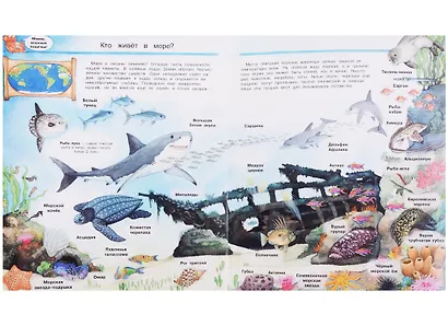 Что? Почему? Зачем? Мир морских животных (с волшебными окошками) - фото 2