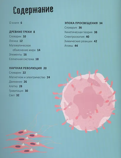 Научные открытия за 30 секунд - фото 2