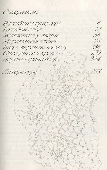 Шесть граней жизни. Повесть о чутком доме и о природе, полной множества языков - фото 4