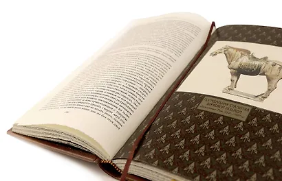 Сунь-Цзы. ТРАКТАТ О ВОЕННОМ ИСКУССТВЕ. Стратегии Великого Китая. Коллекционное иллюстрированное издание на бумаге премиум-класса в переплете ручной работы с пятью видами тиснения и украшенным обрезом. Уникальный тираж в авторском дизайне - фото 11