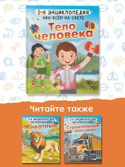 Тело человека - фото 8