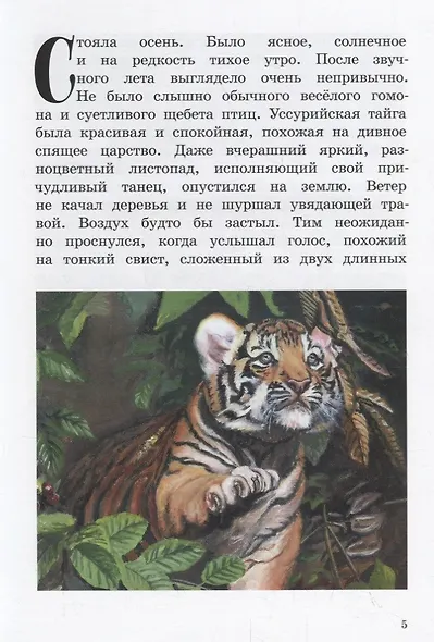 Про любопытного тигренка Тима - фото 3