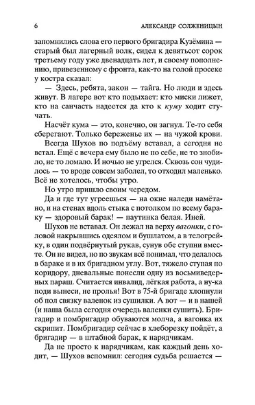 Один день Ивана Денисовича - фото 10