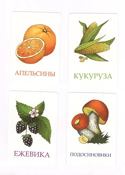 Фрукты овощи ягоды и грибы Развивающие карточки (17-4001) (3+) (коробка) - фото 2